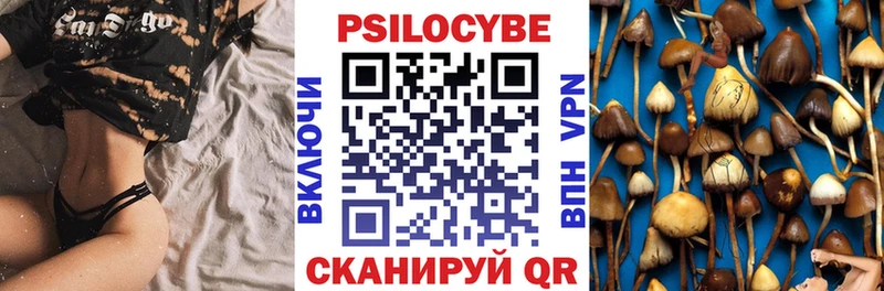 Псилоцибиновые грибы мицелий  купить   Осинники 
